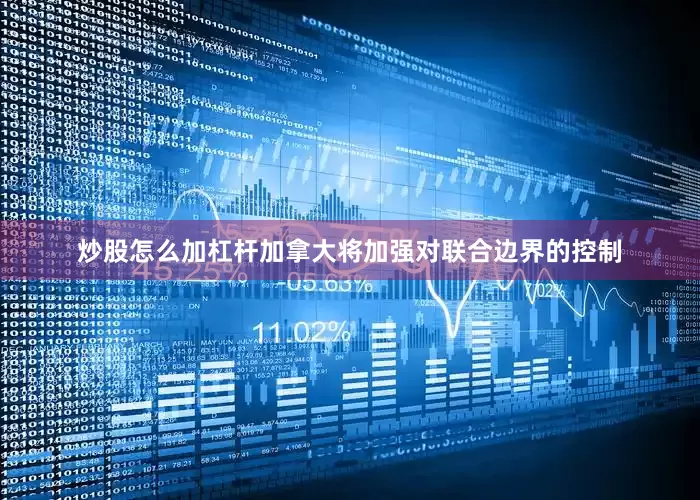 炒股怎么加杠杆加拿大将加强对联合边界的控制