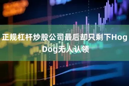 正规杠杆炒股公司最后却只剩下Hog Dog无人认领