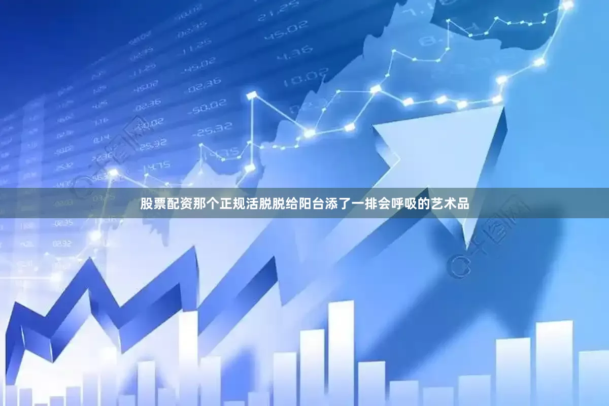 股票配资那个正规活脱脱给阳台添了一排会呼吸的艺术品